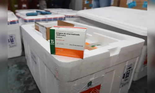 PR recebe mais 240.980 doses de vacinas neste sábado