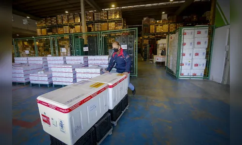 PR receberá novo lote com 332,9 mil vacinas contra a Covid