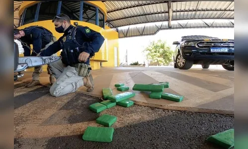 PRF apreende 1 tonelada de maconha em ação conjunta com a PM