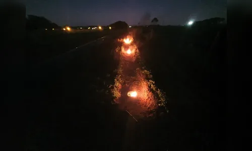 Para evitar estragos, produtor acende fogueiras em plantação