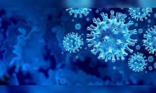 Paraná confirma mais 1.117 casos e 44 óbitos pela Covid-19