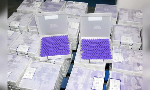 Paraná receberá 303 mil doses de vacina contra a Covid-19