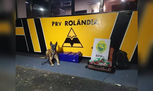 Passageiras de ônibus são presas com 41 tabletes de maconha