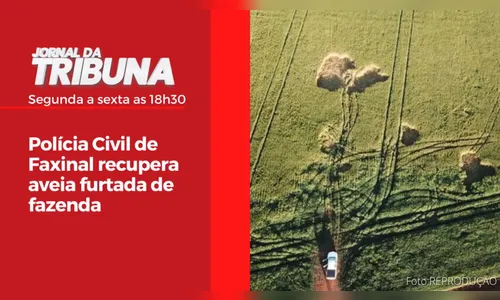Polícia Civil de Faxinal recupera aveia furtada de fazenda