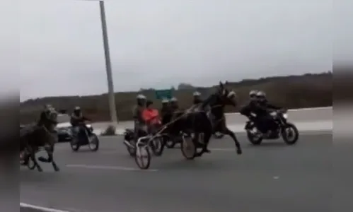 Polícia investiga 'corrida de cavalos' em rodovia do Paraná