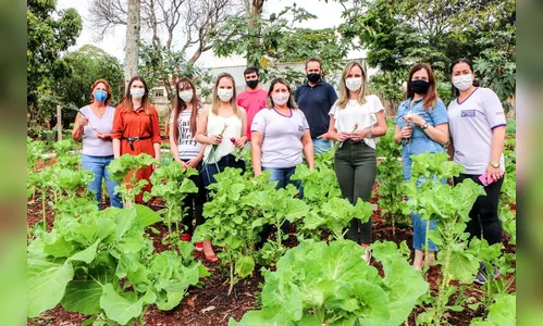 Primeiras-damas visitam horta solidária no Espaço Empreender