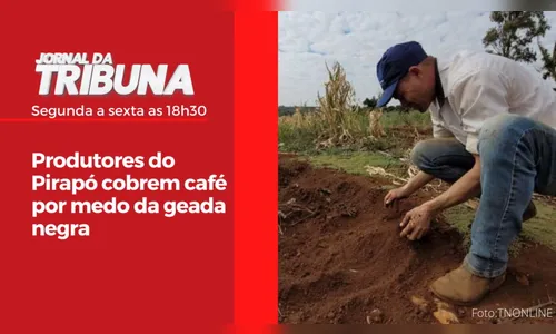 Produtores do Pirapó cobrem café por medo da geada negra
