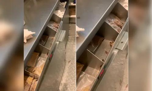 Quiosque de shopping no Piauí é flagrado com baratas