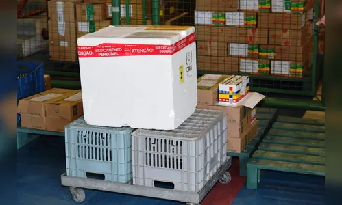 Região de Apucarana recebe 6.311 vacinas contra Covid-19