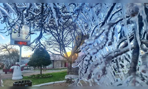 SC: Pelo menos 30 municípios tiveram temperaturas negativas