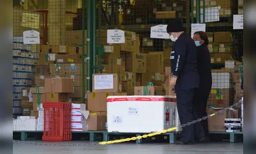 Sesa distribui mais de meio milhão de vacinas nesta sexta