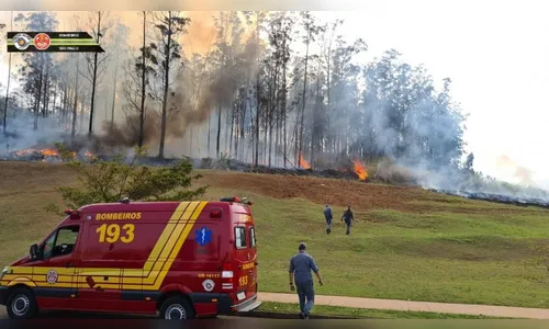 Sete pessoas morrem em queda de avião nesta manhã em SP