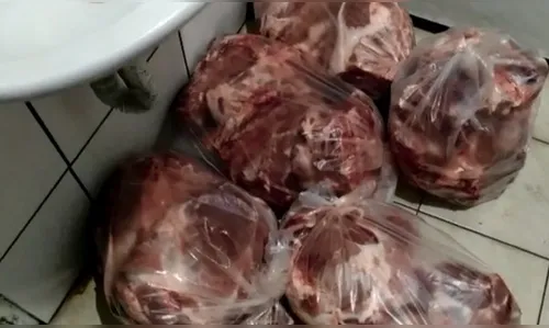 Toneladas de carne são apreendidas em centro clandestino