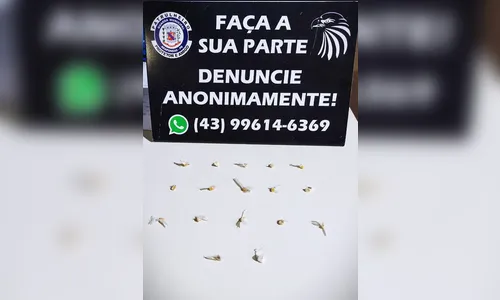 Traficante é preso no Jardim Columbia em Arapongas