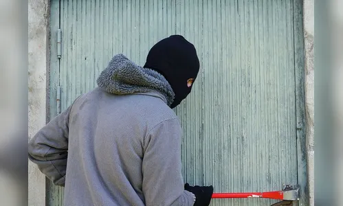 Três criminosos invadem casa de idosos e roubam pássaros