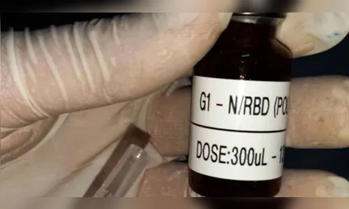 UFMG prepara testes da vacina contra covid-19 em humanos