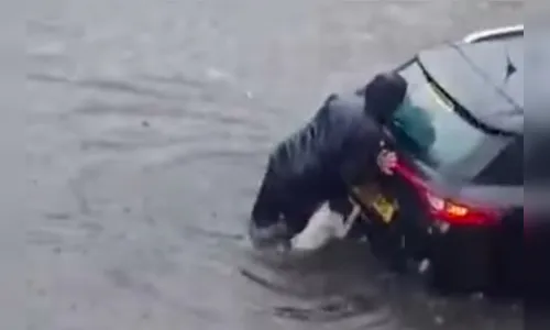 Vídeo: Cachorro 'ajuda' tutora empurrar carro em enchente