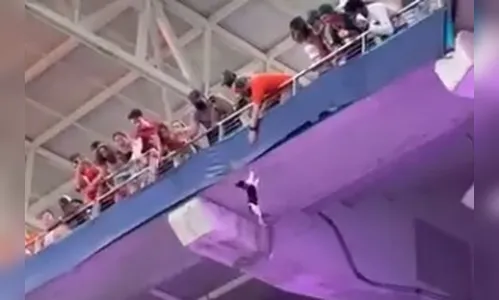 Vídeo: Torcedores salvam gato de queda em arquibancada