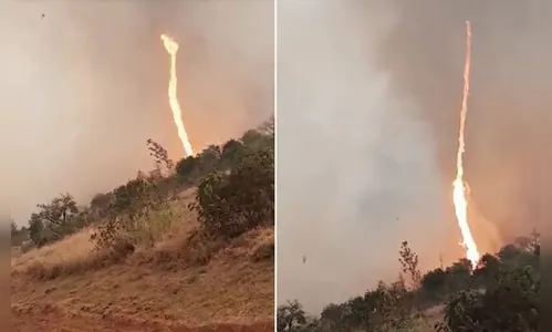 Vídeo flagra redemoinho de fogo em reserva de SP; Veja