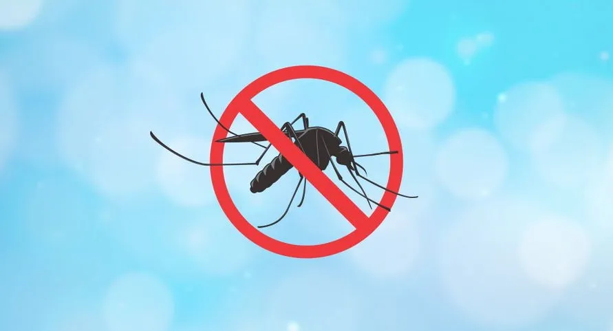 Arapongas permanece sem casos confirmados de dengue