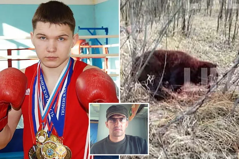 Boxeador fica ferido ao enfrentar urso que matou seu amigo
