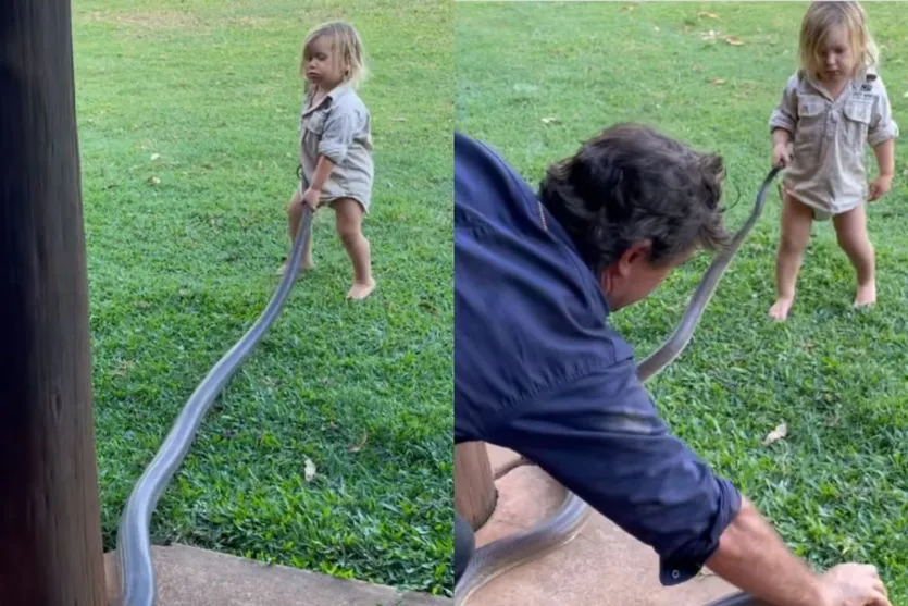 Coragem: Criança puxa cobra de 3 metros para fora do quintal
