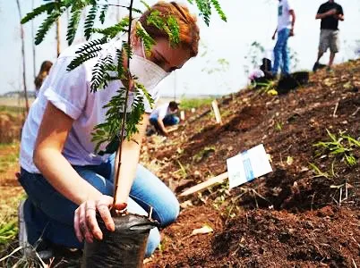 Propriedade que permite adoção de árvores comemora 1 ano