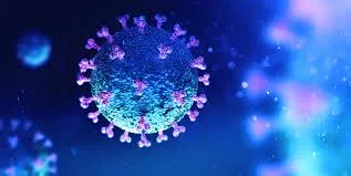 Sem óbitos: Arapongas registra 12 novos casos coronavírus