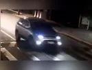 Capivaras viram assunto nacional