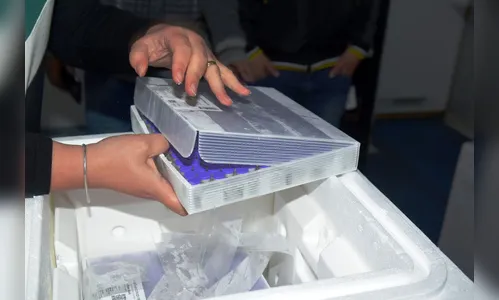 170 mil vacinas da Pfizer devem chegar ao Paraná nesta terça