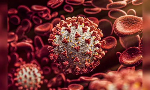 86% dos municípios do PR não registraram mortes por Covid