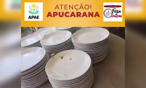 Apae traz pela primeira vez Feira de Louças para Apucarana