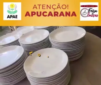 Apae traz pela primeira vez Feira de Louças para Apucarana