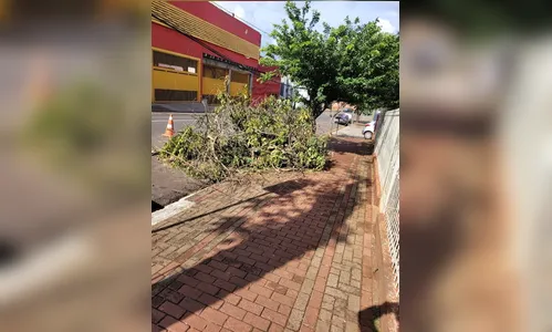 Apucarana registra ventos de 75 km/h e 61 mm de chuva