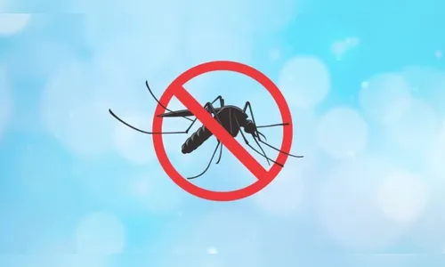 Arapongas permanece sem casos confirmados de dengue