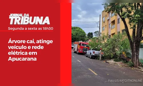 Árvore cai, atinge veículo e rede elétrica em Apucarana