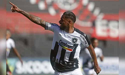 Botafogo vence Brasil de Pelotas e é bicampeão da Série B