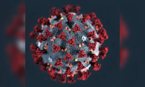 Brasil registra 238 mortes pela covid nas últimas 24 horas