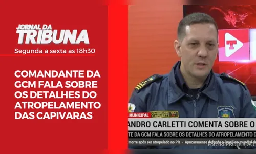 COMANDANTE DA GCM FALA SOBRE OS DETALHES DO ATROPELAMENTO
