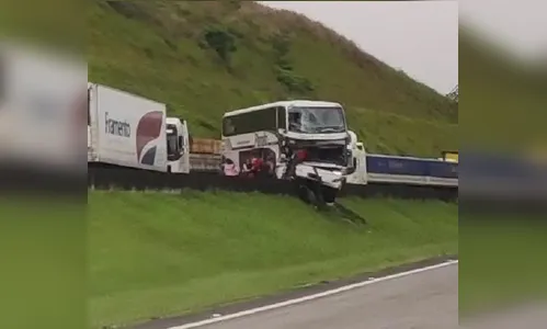 Caminhão apresenta pane, motorista desce e morre atropelado