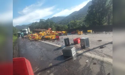 Caminhões com toneladas de carne e cerveja batem na BR-376