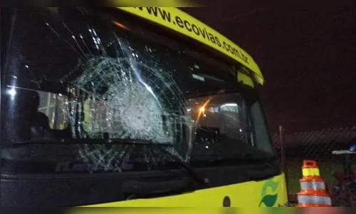 Caminhoneiros fazem protestos com depredações em Santos