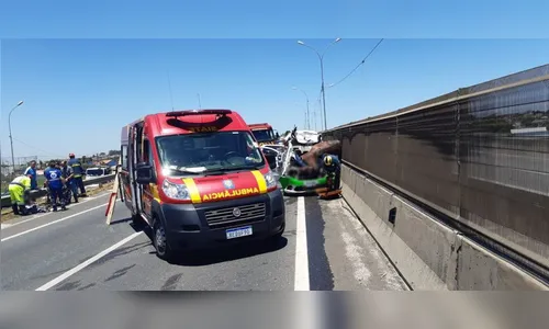 Carro da SESA se envolve em acidente com cavalos na BR-116