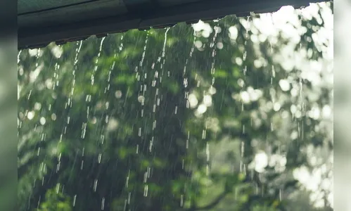 Chuva volta em todo Paraná nesta quarta-feira; assista