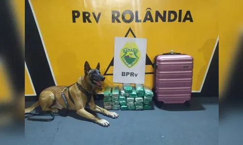 Com mais de 20 kg de maconha em bagagem mulher é presa