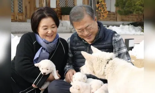 Coreia do Sul pode acabar com o consumo de carne de cachorro