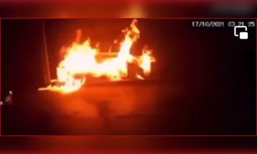 Criminosos ateiam fogo em abrigo de cães em MG