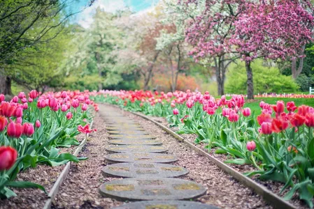 Cuide de seu jardim com carinho...