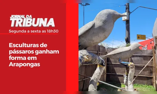 Esculturas de pássaros ganham forma em Arapongas