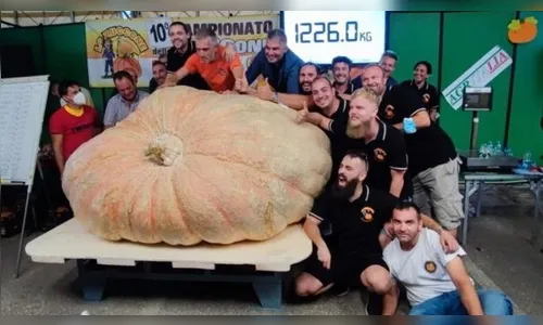 Fazendeiro colhe abóbora de 1,2 tonelada e bate recorde